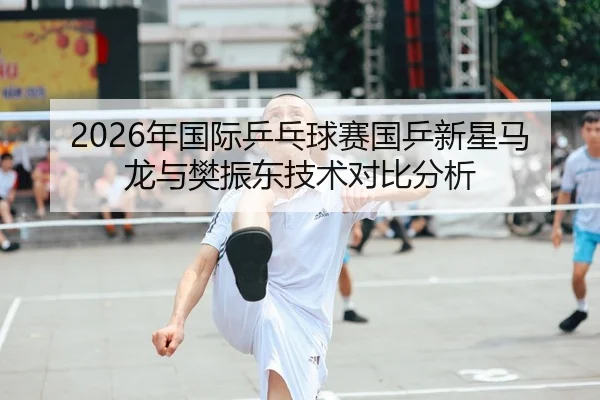 2026年国际乒乓球赛国乒新星马龙与樊振东技术对比分析