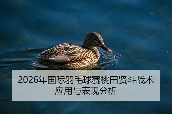 2026年国际羽毛球赛桃田贤斗战术应用与表现分析