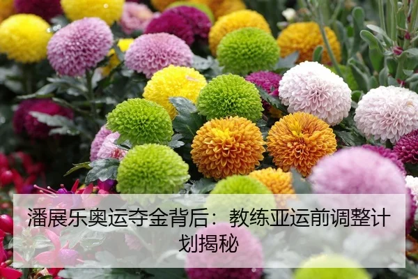 潘展乐奥运夺金背后：教练亚运前调整计划揭秘