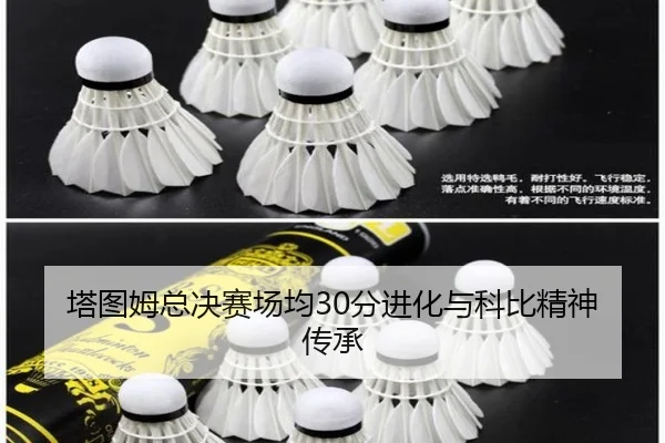 塔图姆总决赛场均30分进化与科比精神传承